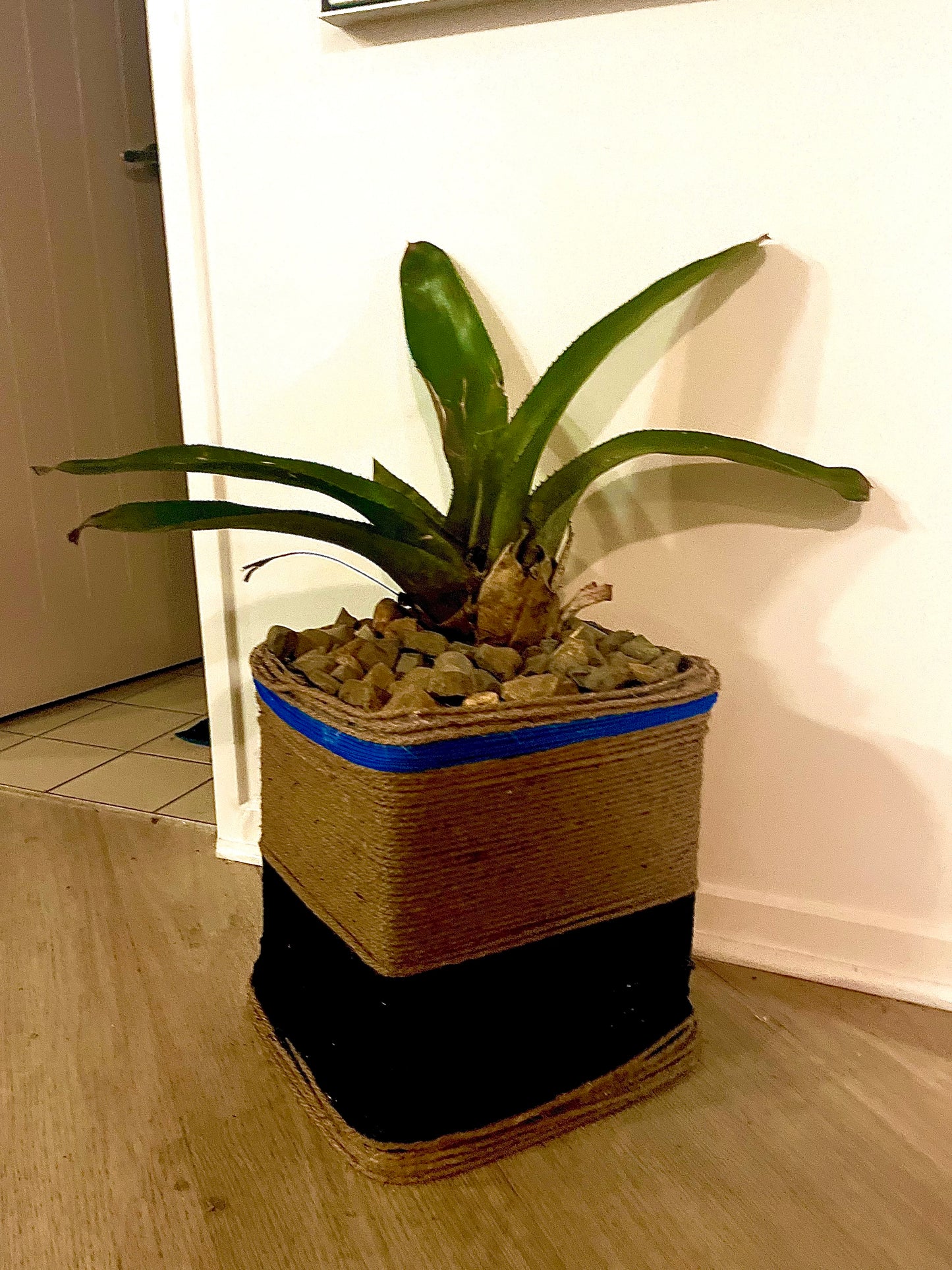 The Jute Box Plant Pot w’ Brommy